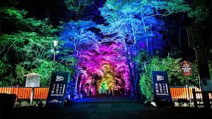 Resonating Trees Forest Of Tadasu At Shimogamo Shrine Light Festival In Tadasu No Mori At Shimogamo Shrine K Colorful Landscape Kyoto Art Shimogamo Shrine