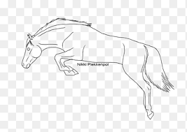 Therefore, before you continue drawing, consider placing a vertical line in the middle of the horse head, and a horizontal line towards the bottom of the. Mustang Drawing Show Jumping How To Draw A Horse Line Shading Horse Angle Png Pngegg