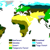 They cover approximately six per cent of the earth's. 1