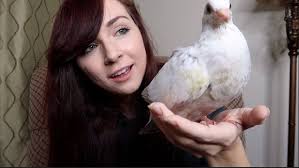 Rescue Pigeon Care and Rehabilitation Success Story