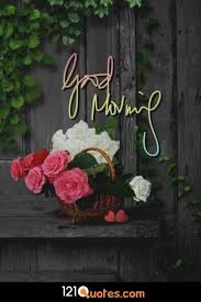 A collection of the top 47 cool wallpapers and backgrounds available for download for free. 200 Beautiful Good Morning Images Latest Update