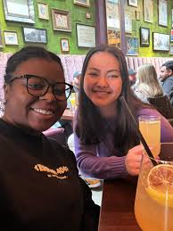 Roommate Wanted in Chicago Near Riverdale