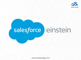 Einstein Vision Language Services Of Salesforce Of Entity Recognition