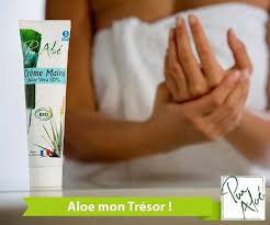 Puraloeuneplantepourlavie Puraloeuneplantepourlavie Photos Et Videos Instagram Aloe Vera Aloe Creme