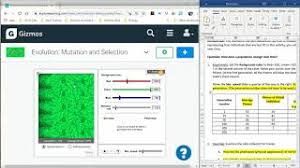 Mutations occur roughly 1 in 1++ nucleotides b. Mutations And Selection Lab Help Youtube