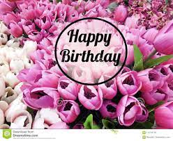 Nei paesi bassi ci sono campi infiniti di tulipani colorati e questo è delizioso! Cartolina D Auguri Di Buon Compleanno Con Il Fondo Dei Fiori Dei Tulipani Immagine Stock Immagine Di Festa Concetto 110704749