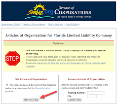 Check spelling or type a new query. Step By Step Guide To Forming An Llc In Florida Startingyourbusiness Com