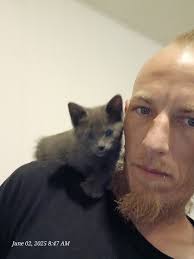 This sweet girl is still waiting for her forever home! If she were a kitten  she would not have to wait more than a couple of months...but here she  is...still hoping for