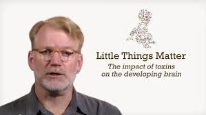 Toxic Truth: Little Things Matter, how dioxins affect developing brains