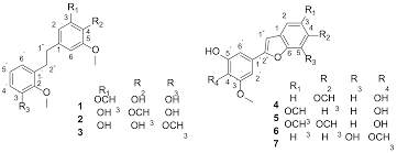 Image result for Polystachya villosa