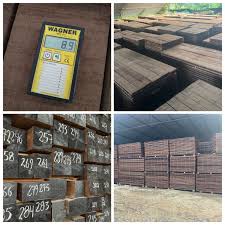 rosario edel arias ramirez