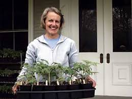 Heavy foliaged plants produce good yields. Grow And Sell Heirloom Tomatoes Mother Earth News