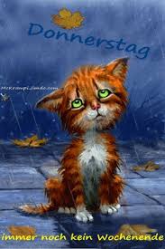 Https Encrypted Tbn0 Gstatic Com Images Q Tbn 3aand9gcr3xdicdjzjla J Hnxlwjukeqwwwelkp Z9a Usqp Cau