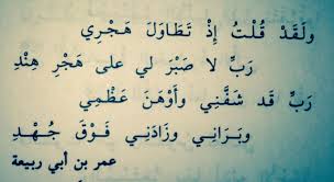 شعر نسيان الحبيب حبيبي قولي ازاي انساك حزن و الم