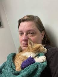 Loss of a beloved pet cat due to cancer