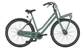 Gazelle Miss Grace Limited 2019 28 Zoll Gunstig Kaufen Fahrrad Xxl