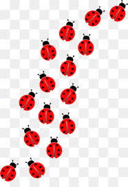 Miraculous Ladybug Png Miraculous Ladybug Chat Noir Miraculous Ladybug Transparent Cleanpng Kisspng Miraculous ladybug party ladybug e catnoir ladybug snacks ladybug decor chocolate dipped strawberries covered strawberries strawberry dip snacks für party bug party food. miraculous ladybug png miraculous