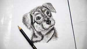 Cauti o plansa de colorat sau un desen de colorat cu animale maimute? Cum Sa Desenezi Un Caine Desen Realistic In Creion Youtube