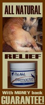 Dermacton All Natural Relief For Dogs Skin Conditions With Money Back Guarantee Drug Steroid Free Dog Remedies Itchy Dog Remedies Dog Hives