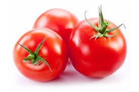 Seedman (formerly rachel's tomato seed supply) gautier, mississippi (united states) Indo Us Bio Tech Limited