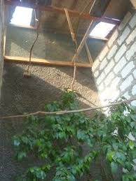 We did not find results for: Pohon Ideal Untuk Kandang Penangkaran Murai Murai Kandang Pohon