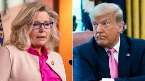 Liz cheney is polling sooo low in wyoming, and has sooo little. Liz Cheney Says She Won T Support Trump If He Runs In 2024 Cnnpolitics