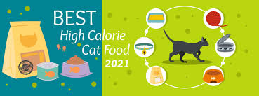 Why feed your cat high calorie cat food. High Calorie Cat Food The Daily Cat