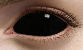 Black And White Sclera Contacts Haunted Eyes Prepare For The Invasion In 2020 Black Contact Lenses Halloween Contact Lenses Halloween Contacts