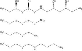 Image result for Pavetta radicans