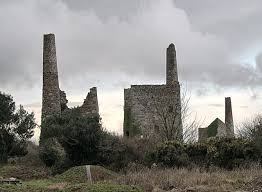 Image result for Wheal