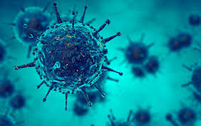 La leishmaniasis es una enfermedad de tipo infeccioso causada por un parásito protozoo del género leishmania , transmitida por la picadura de un en nuestro país, la leishmaniosis es una enfermedad zoonótica de declaración obligatoria causada por l. Enfermedades Infecciosas Noticias Y Articulos