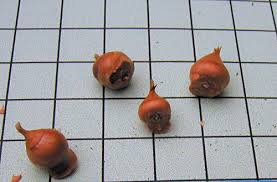 Image result for Romulea camerooniana