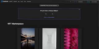 Solsurfer An Nft Marketplace Built On Solana