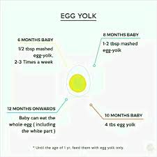 Hello Doctrs Nd Moms How To Start Egg In Her Diet Still She