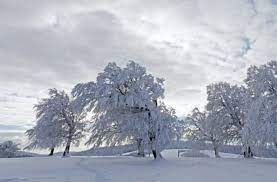 Durch einen klick auf loop ist sofort zu sehen, wie hoch die schneefallwahrscheinlichkeit und allgemein die wahrscheinlichkeit für neuschnee in den kommenden tagen voraussichtlich ist. Wetter In Deutschland Xaver Hat Viel Schnee Im Gepack Panorama Schwarzwalder Bote
