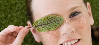 We offer frames, lenses, eyewear repairs, and contact lenses. Children S Eye Care Of Michigan