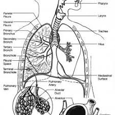 Lung cancer stage 4 can not be treated, so the question arises only about how much a person left to live. Lung Cancer Lab Tests Online