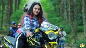 Tunjukin tiger yg hitam pake striping kuning(buat inspirasi)tunjukin tiger yg hitam pake striping kuning(buat. Modifikasi Motor Terbaru 2021