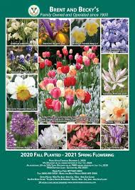 Check spelling or type a new query. 40 Free Garden Seed Catalogs Online Plant Sources The Old Farmer S Almanac