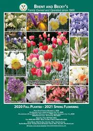 You can send a stunning vase arrangement to toronto, a bunch of vibrant birthday flowers to montreal or a new baby bouquet to vancouver. 40 Free Garden Seed Catalogs Online Plant Sources The Old Farmer S Almanac