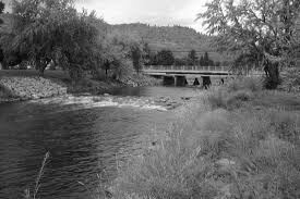 The official website for the municipality. A Uniform Riffle Constructed In The Okanagan River In Oliver Bc The Download Scientific Diagram