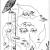 Owl Food Chain Worksheet