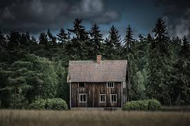 12′ x 20′ cabin model on display. Haunting Abandoned Tiny Homes Loveproperty Com