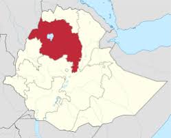 We did not find results for: Amhara Region Wikipedia