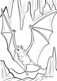 Malvorlage Fledermaus Kostenlose Ausmalbilder