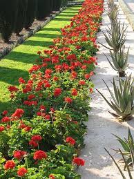Pin On Gardens 1