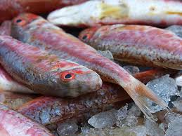 Maybe you would like to learn more about one of these? Belanak Merah Ikan Putih Ikan Mol Rogers Pikist