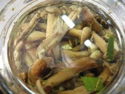 Check spelling or type a new query. Funghi Chiodini Sott Olio Luciano Pignataro Wine Blog