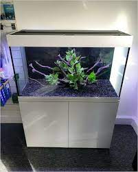 aquarium fish tank fresh water fish tank fish tank aquarium fish tank