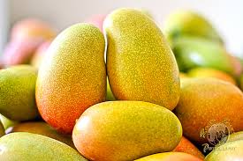 It'S Mango Season In Jamaica | Insidejourneys
